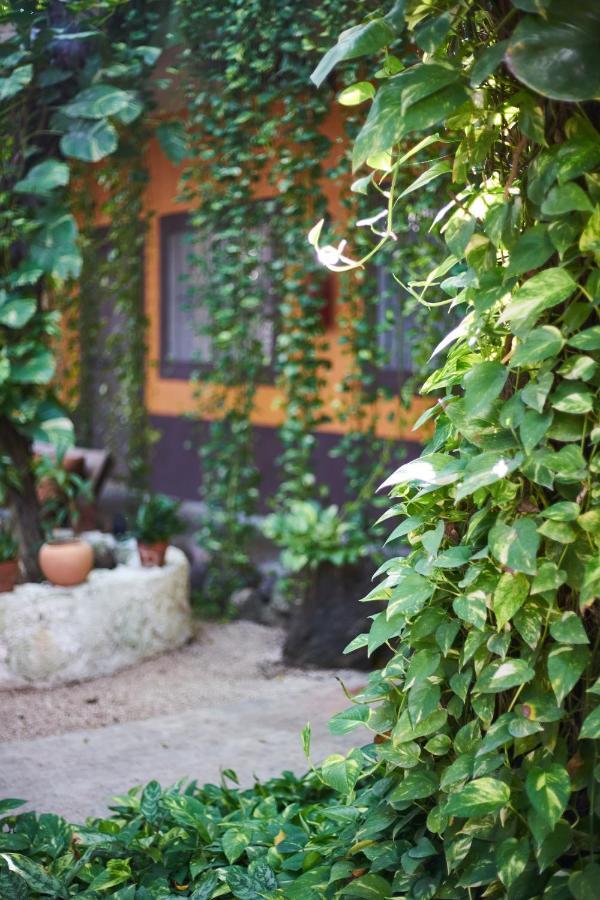 Secret Garden Tulum Hotel Eksteriør billede
